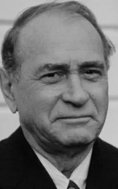 Даррен Макгейвин